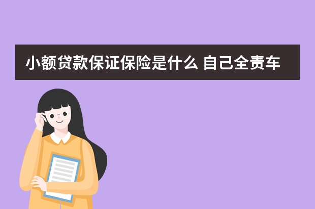 小额贷款保证保险是什么 自己全责车上人死了保险赔不