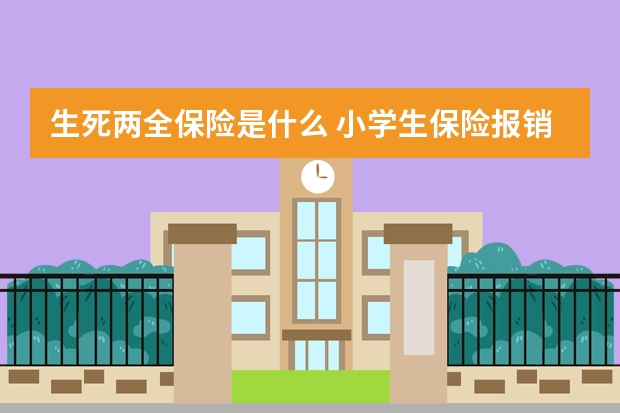 生死两全保险是什么 小学生保险报销范围