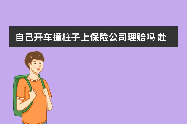 自己开车撞柱子上保险公司理赔吗 赴港买保险有风险吗