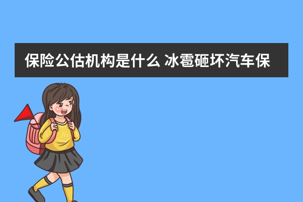 保险公估机构是什么 冰雹砸坏汽车保险赔吗