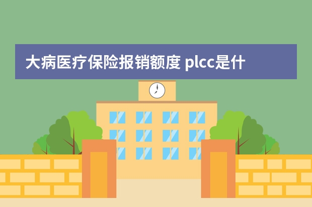 大病医疗保险报销额度 plcc是什么保险公司