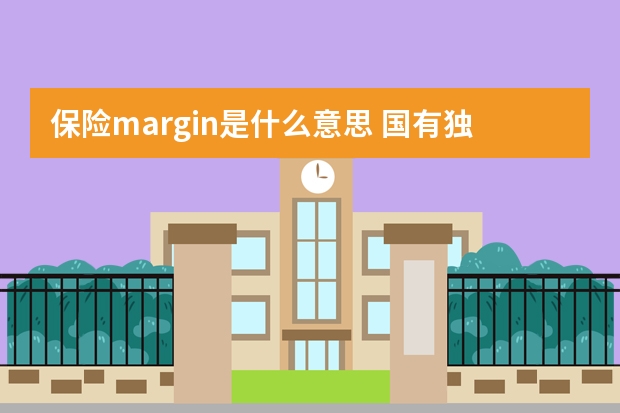 保险margin是什么意思 国有独资保险公司是什么