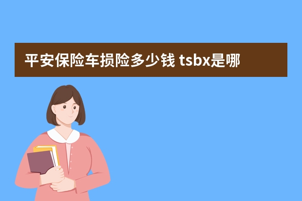 平安保险车损险多少钱 tsbx是哪个保险公司